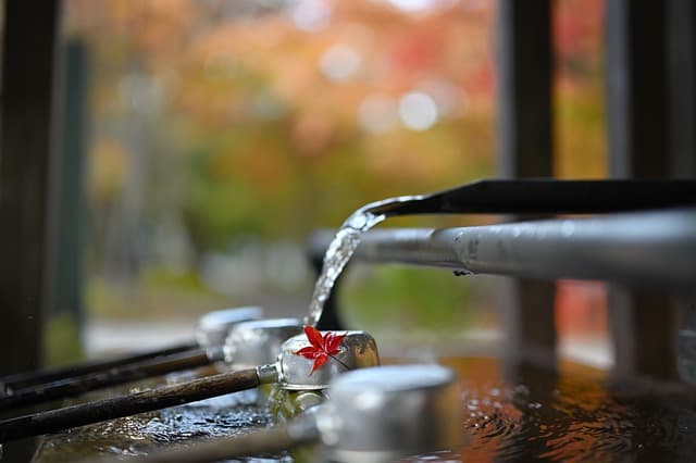 楓葉 水 流水 秋天 神社 